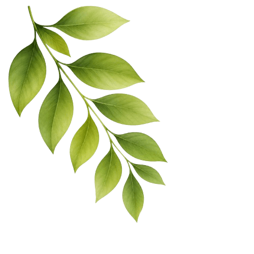 ISKCON LEAVES